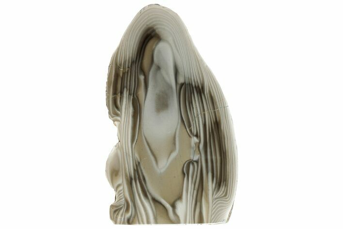 Polished, Striped Flint Stand Up - Poland #228144